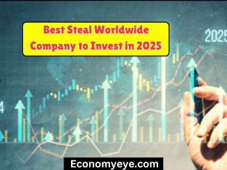 Best Steal Worldwide Company to Invest in 2025