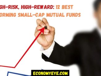 12 Best Performing Small-Cap Mutual Funds