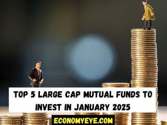 Top 5 Large Cap Mutual Funds to Invest in January 2025