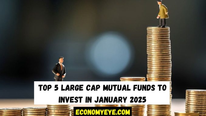 Top 5 Large Cap Mutual Funds to Invest in January 2025